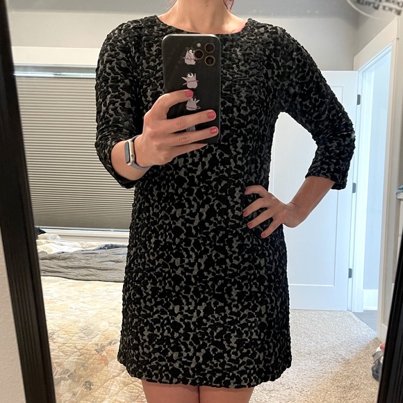 ISLE by Melis Kozan Dresses & Skirts - ISLE by Melis Kozan 3/4 sleeve shift dress
